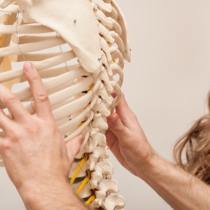 patient looking at the structure model of a back