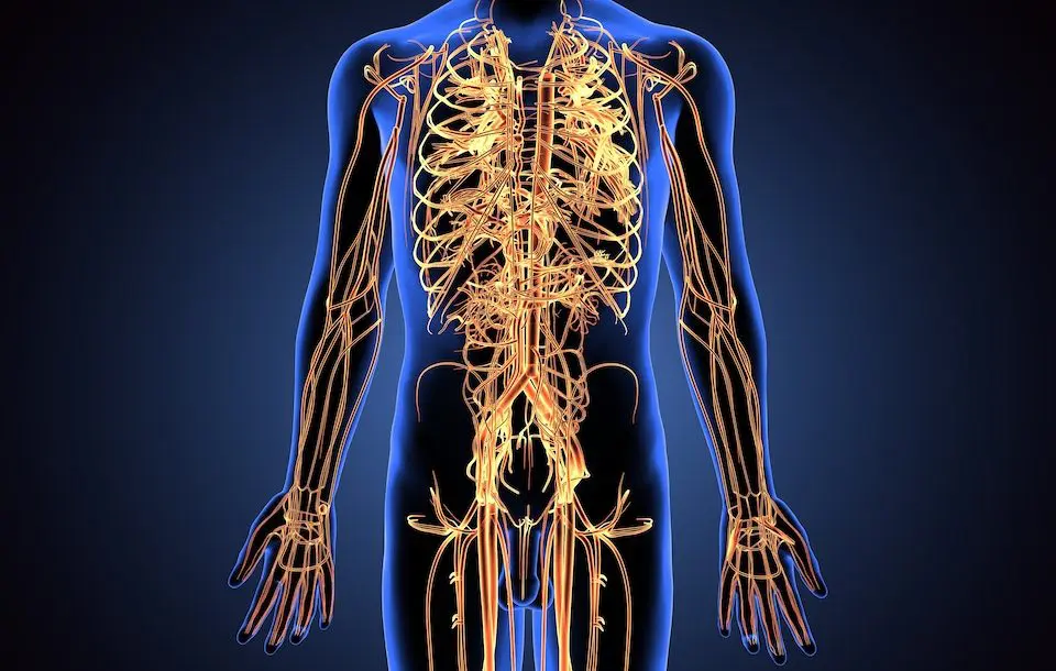 Feeling-Numb-Why-Nerve-Compression-Could-Be-To-Blame