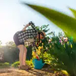 may-is-here-and-its-time-to-garden