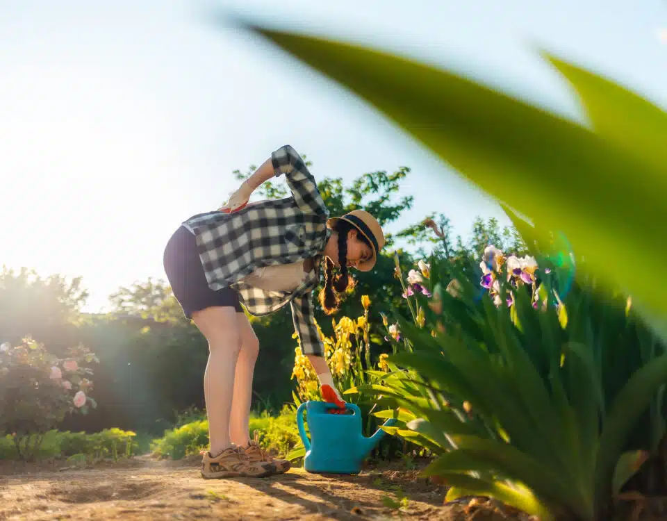 may-is-here-and-its-time-to-garden