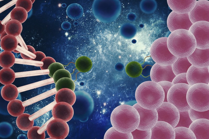 Platelet Rich Plasma Therapy